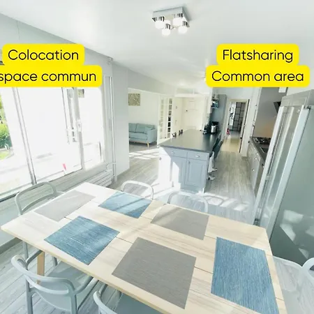 Flatshare Colocation 3 Close To Geneva